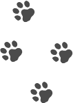 犬の足跡のイラスト